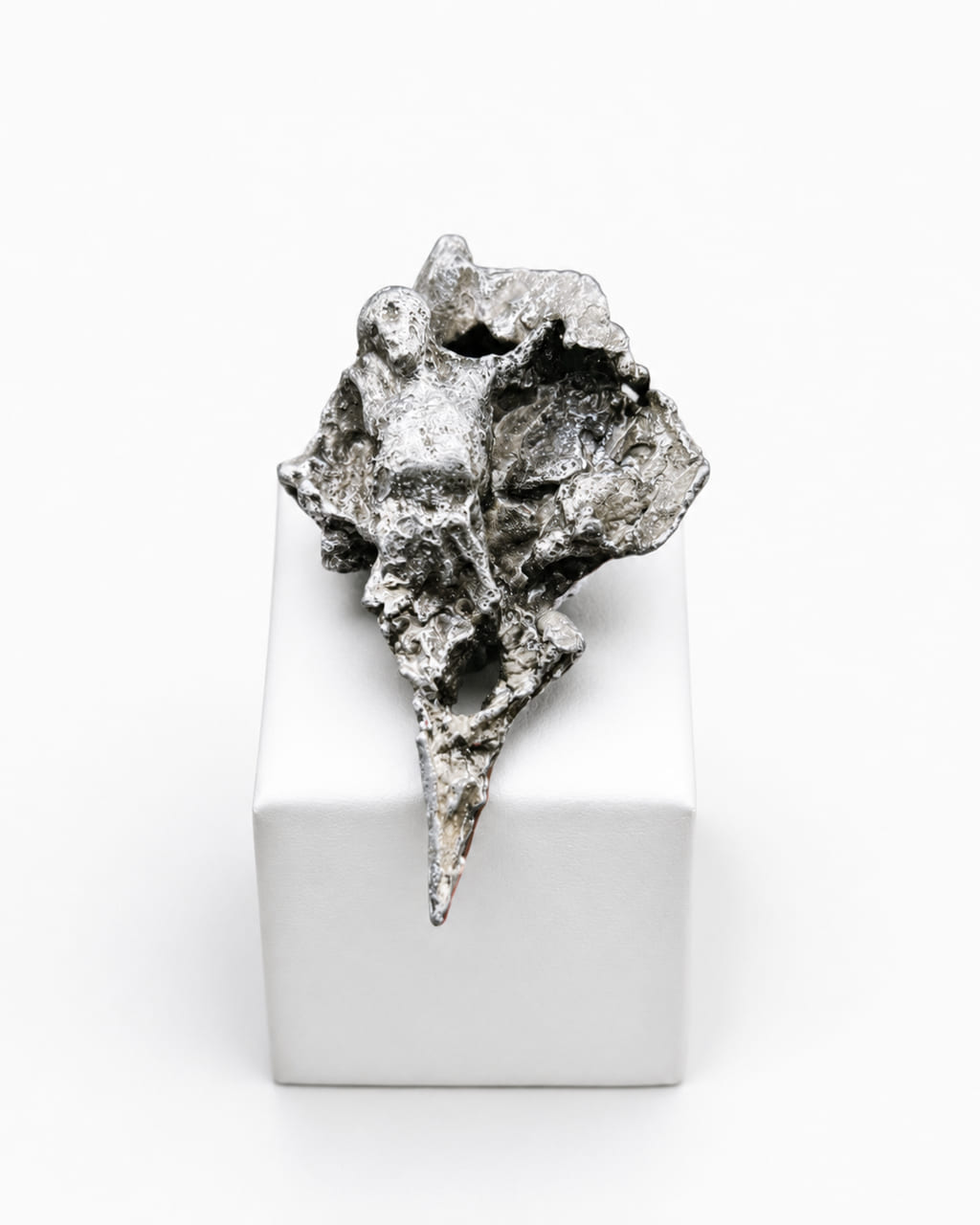 UN.06 XIV — photo 1