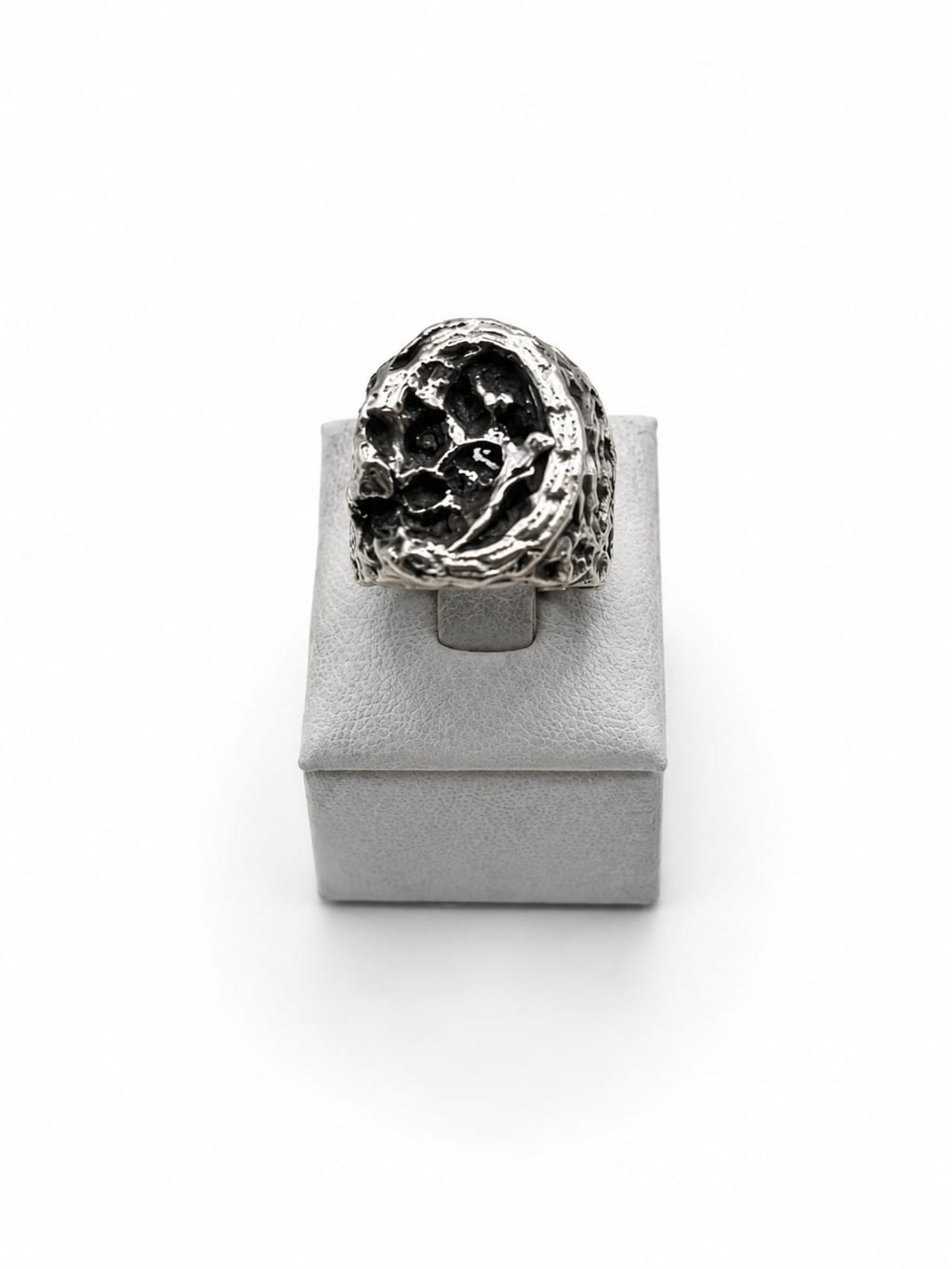 LEO XVI — photo 1