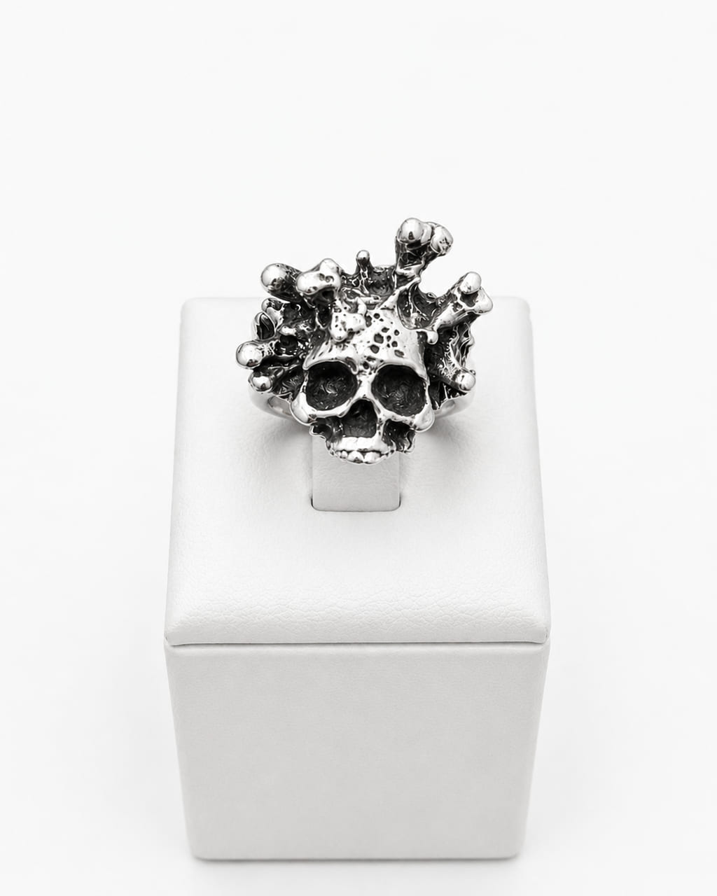SKULL XVI — photo 1